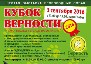 � ������ ������� �������� ����� ������ �������� 2016�