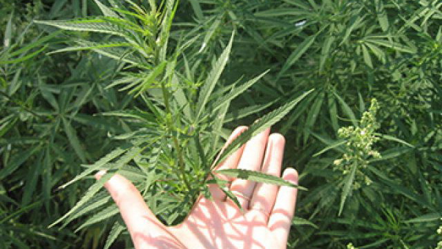 �� ����� ������ ���������� ��������������� ���������� ����� 800 ������ �������