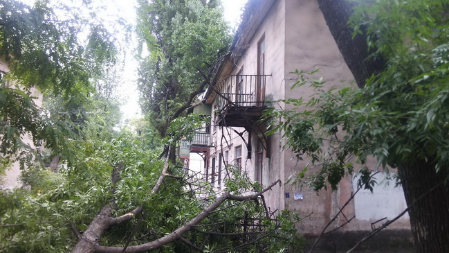 �������� ������� ��������� ���� � ���������