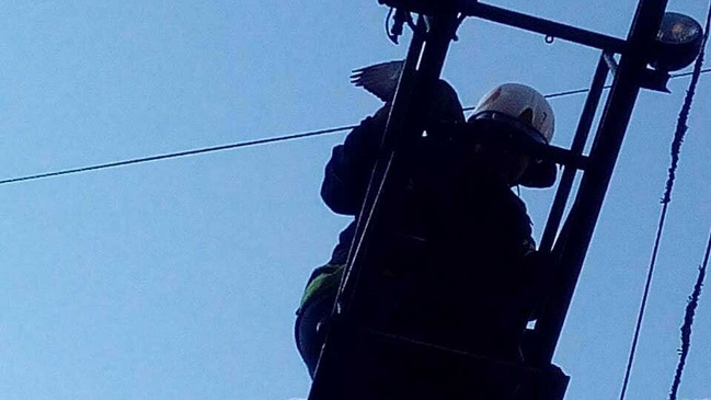 � ��������� ��������� ���������� ������, ������������� � ���������������