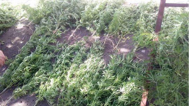 � ��������� ��������������� ���������� �� ������� �������� ������ 106 ������ �������