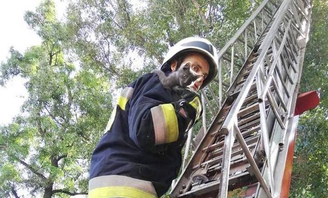 � ����� ������� ������ ��������� �101� ����� ������ � ������