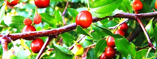 ��� ��������� �������� ���������� ������