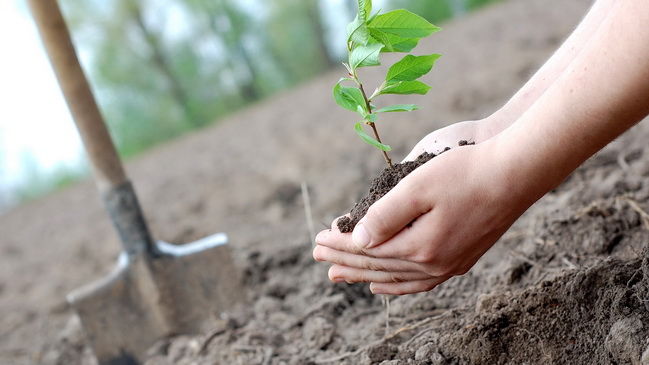 ��� ������ ���������� �������� ������������� ��������� ������ � ������ ��������� 2018 ����?