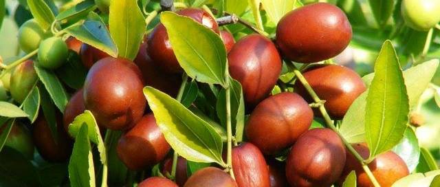 �� ���������������� ��������� �������� ������ ������ �������