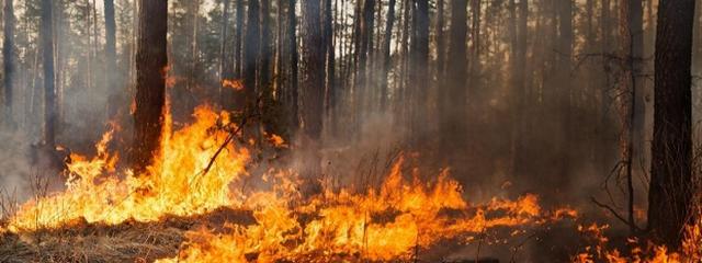 � 2018 ���� � ����� ���������������� ��������� ����� 100 �������