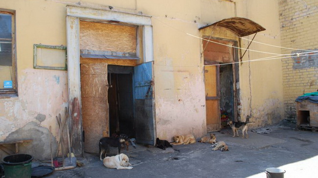 � ��������� ������������ � ��������������� ������ ��� ��������