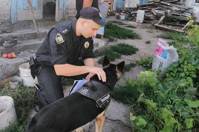 В Карнауховке неизвестные в масках ворвались в дом, избили и обокрали 70-летних пенсионеров