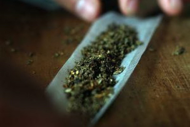 У Кам’янському судитимуть місцевого мешканця, на подвір’ї якого виявлено 42 кущі коноплі