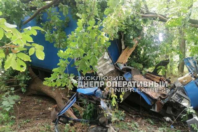 Під Дніпром вантажівка в'їхала в дерево: є постраждалі