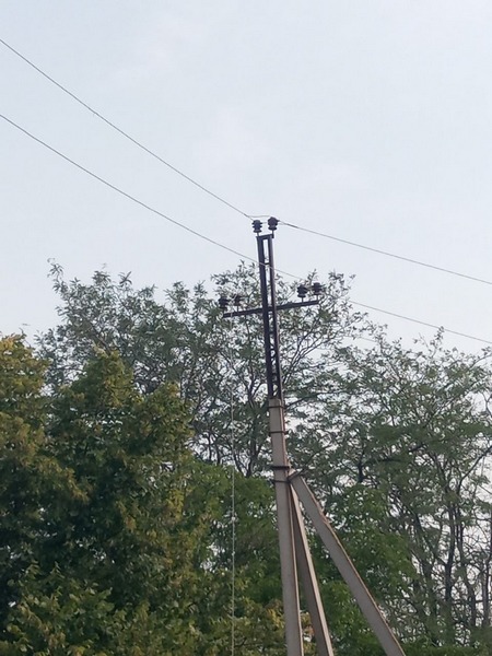       3   ,   