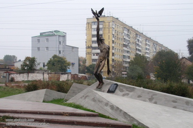       '