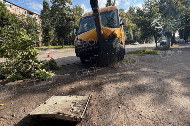 У Кривому Розі маршрутка врізалася у дерево, постраждали водій та двоє пасажирів