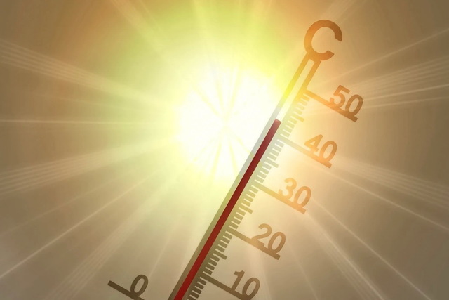 До +39°: На Днепропетровщину идет жара из Африки