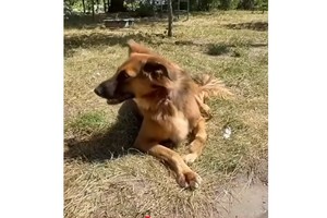 �� �/� ��������� � ����� ������ ����� ��� � ������: ��������� ��������� �� ������� ������