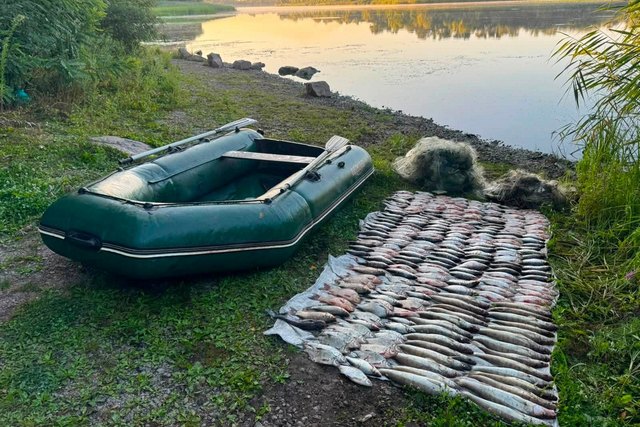 Риба, човен та сітки, які вилучили у чоловіка. Facebook/Дніпропетровський рибоохоронний патруль Убытков более чем на 433 тысячи гривен. На Днепропетровщине обнаружили грубое нарушение правил рыболовства