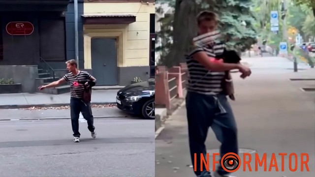 У Дніпрі жінка душила, кусала та била кота: що кажуть очевидці та поліція
