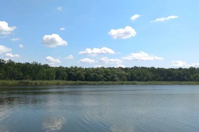 Хотел переплыть водоем и исчез: на Днепропетровщине ищут 62-летнего мужчину