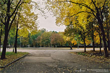 ����� ����� ������ ������� �� ������� ��������