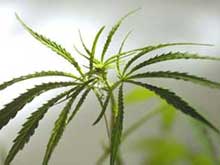 � ������� ������ ����� 700 �� ���������