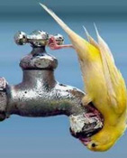 30 �������� ����� �������� ���������� ������ �������� ����