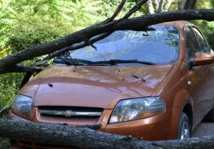 � ���������������� ������ ����� �� ����������