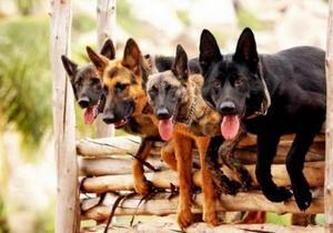 ���������������� ����� ��� �������� ������ �������� �� ���� ���