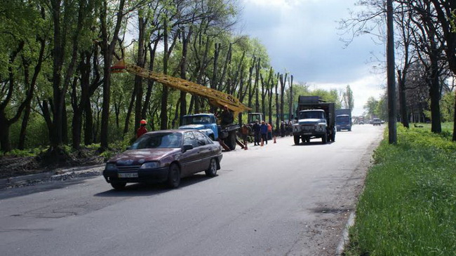 По улице Дорожной в Каменском высадят кусты