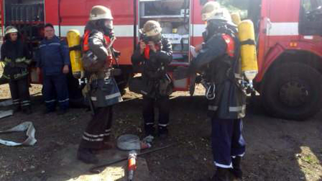 � ������ ���� �� ������ ������ �������