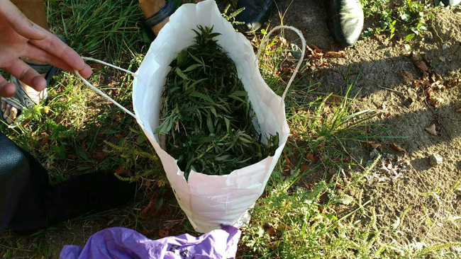 � ������ ���� ��������� ������ � ����� �� ���������