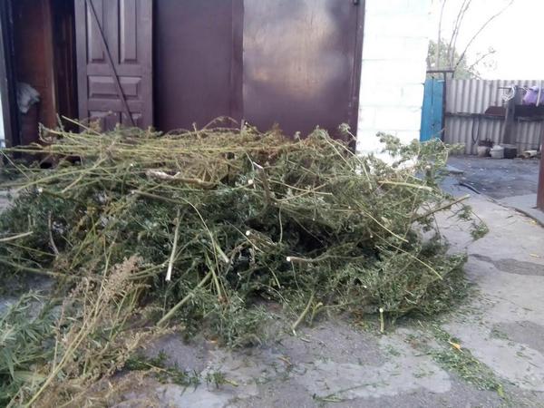 �����������-���������� �� ��� ������������� �������� ����������� �� ������� �������� ������