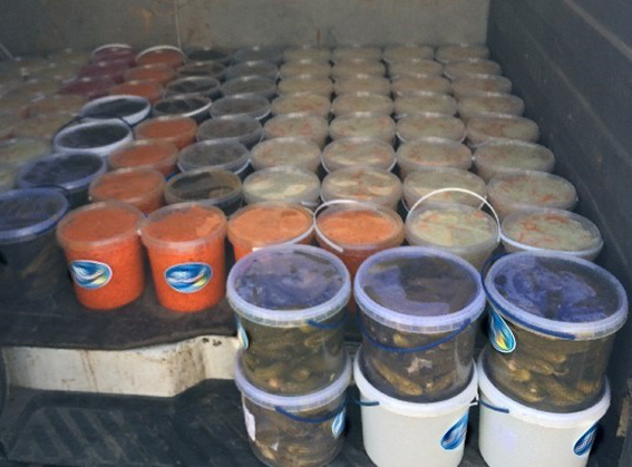 � ������ ������������� ������ ���-�������� � ���������� ���������� ����