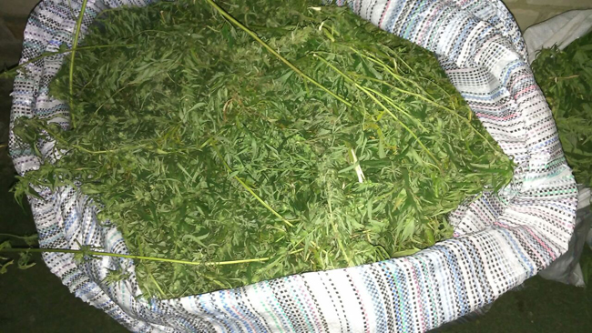 � ����������� ������ ���������� 12 �� ���������