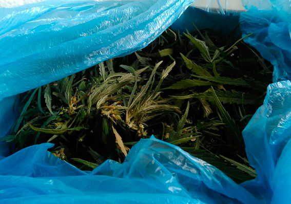 ��������������� �������� ����� � ������ 5 �� ���������