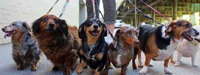 ��� � ��������� ������ � �������, ���� ������ �����