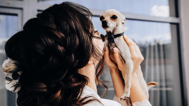 �� ��� ������ � ��������� ������� ����� ������ � ������ �������