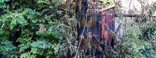 ����� � ������: ��������� �������� ����������