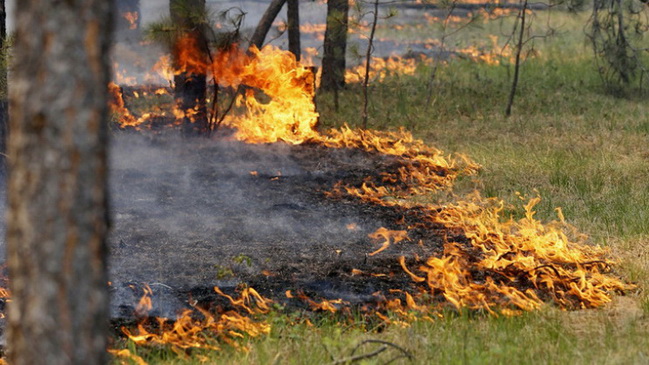 �� ���������������� �������� 