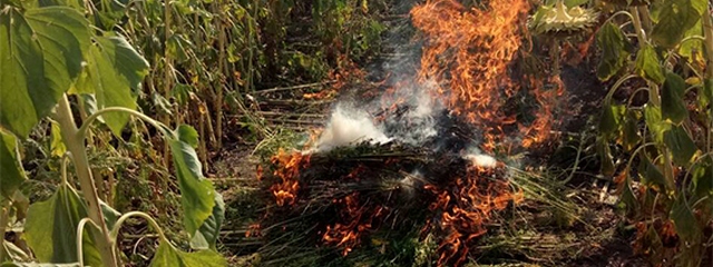 �� ���������������� ����������� ������ 500 ������ �������