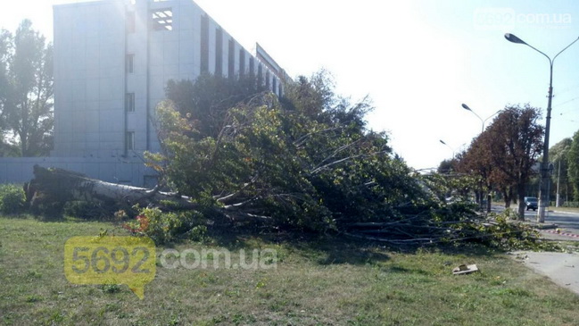  � ��������� ������� ������ ��������� ����� ��������������