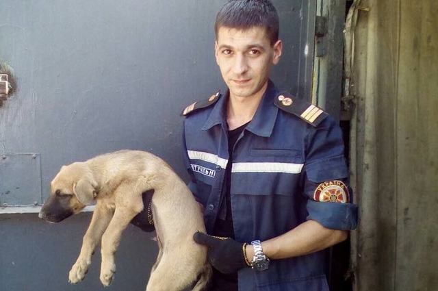 � ����� ������������ ��������� ������ �� ���������� ������