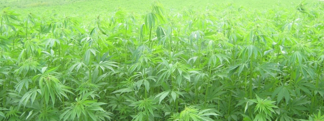 ����� 2 ���. ����� �������� ������� ������������� ������� ���� � �������������� ������