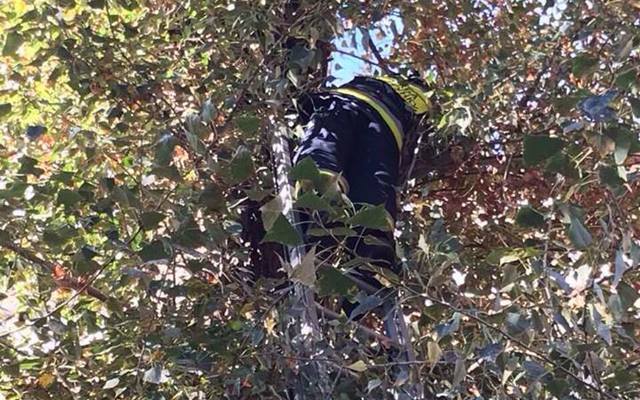 � ������ ���������� ���� ����� ���� � ������