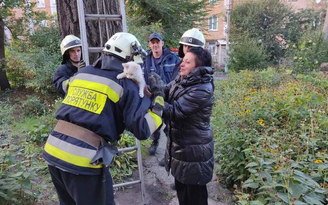 � ������ ��������� ����� ���� � ������