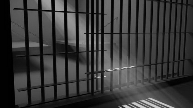 ������� ������������, ������������� ������ � ��������� ������� � ���������, ������� �� 5 ��� ������