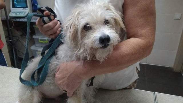 � ������� �������: � ������ ����������� ��������� ������ � ����������