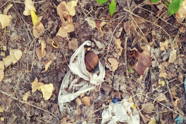 В Днепре мужчина на Набережной Победы нашел гранату с патронами