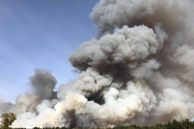 Возле Каменского сильный пожар уничтожил 12,5 га леса