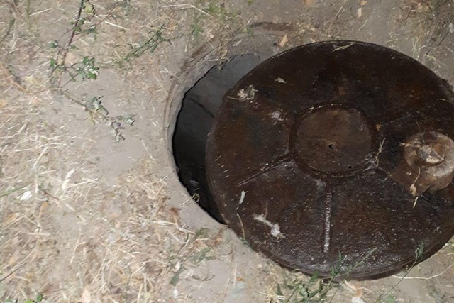   䳿 