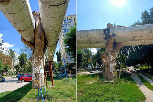 Фотофакт: в Днепре теплотрасса держится на честном слове и усохшем стволе
